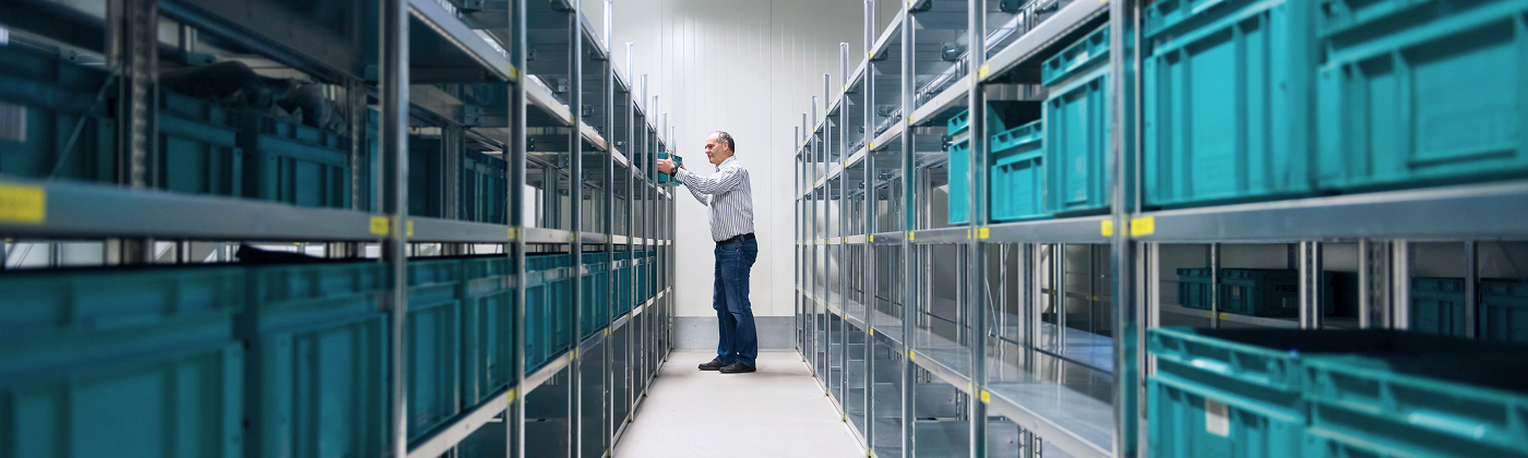 Storage Mapping Overview